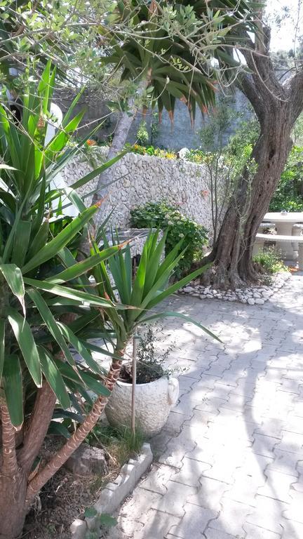 Padovan Apartament